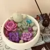 Beton Kase Kaktüs Skulent Soya Wax Mum (Karışık çiçek Kokulu) Mor